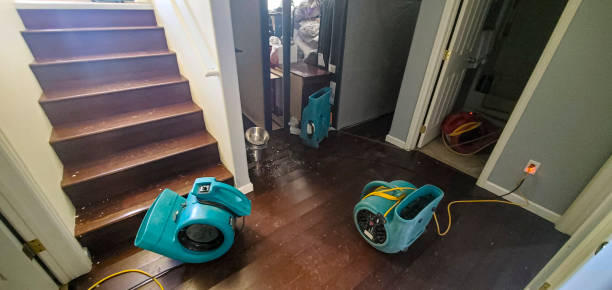 Best 24-hour water damage restoration  in Rockwell, AR