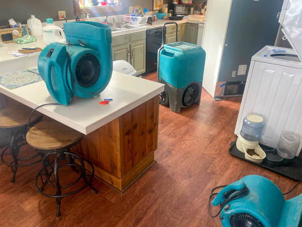 Best Commercial water damage restoration  in Rockwell, AR