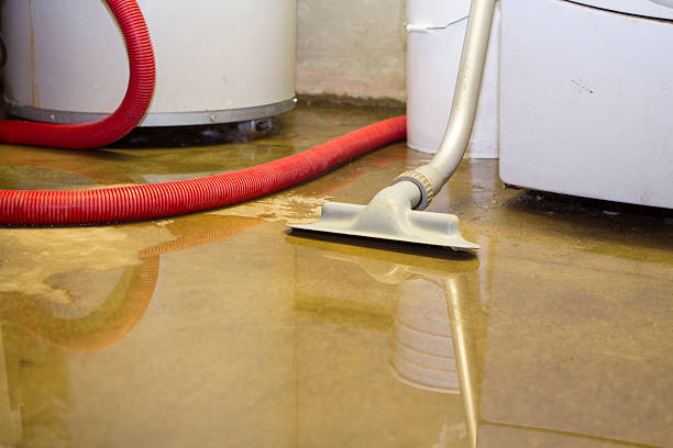 Professional Water damage restoration in Rockwell, AR