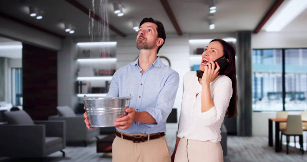 Best Flood damage cleanup  in Rockwell, AR